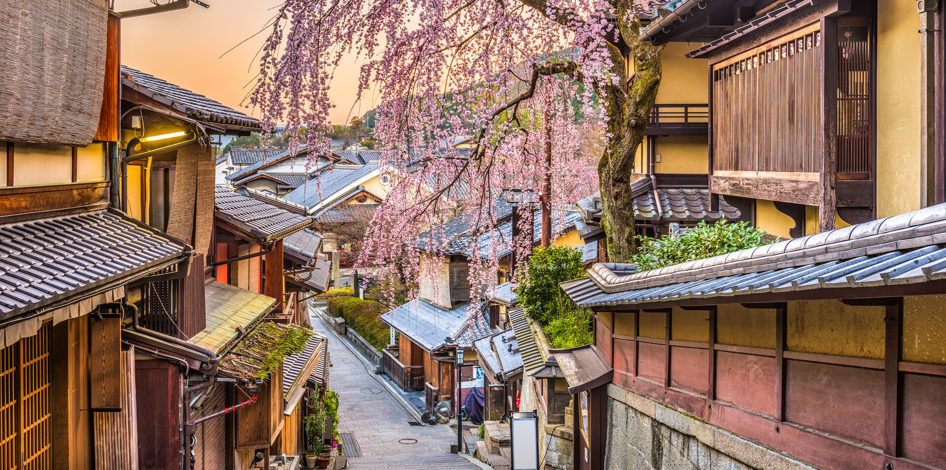 Best of Japan - Gion Festival Cruise